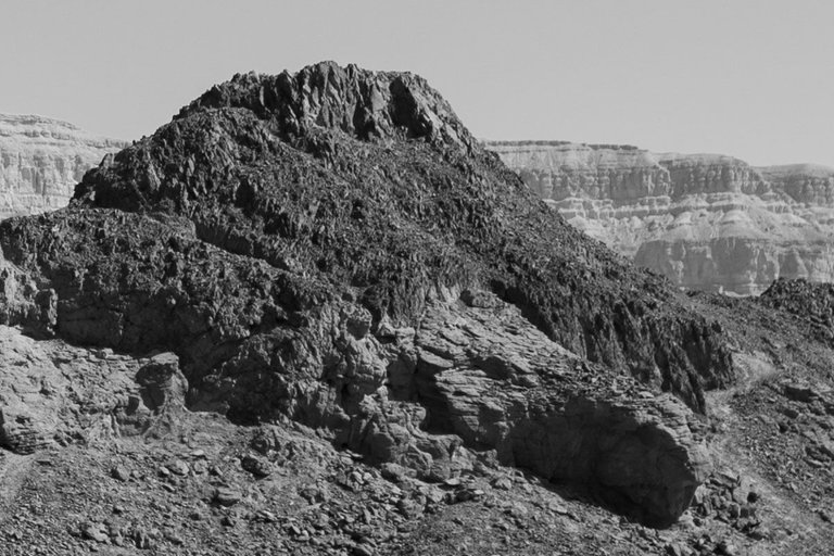 Timna_park_mushroom_2011_by_Victor_Bezrukov-7.jpg