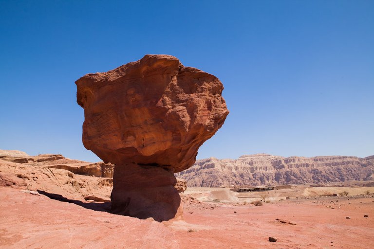 Timna_park_mushroom_2011_by_Victor_Bezrukov-1.jpg