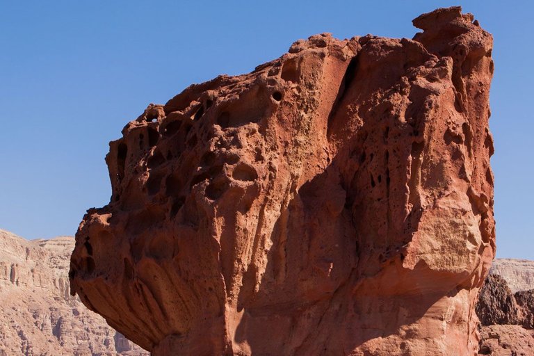 Timna_park_mushroom_2011_by_Victor_Bezrukov-2.jpg