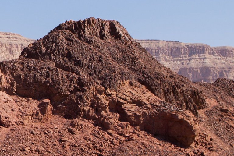 Timna_park_mushroom_2011_by_Victor_Bezrukov-6.jpg