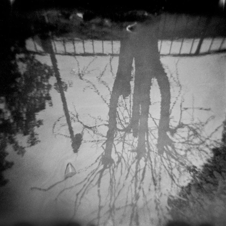 Fomapan_400_Holga_by_Victor_Bezrukov-2.jpg