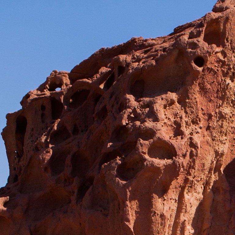 Timna_park_mushroom_2011_by_Victor_Bezrukov-8.jpg