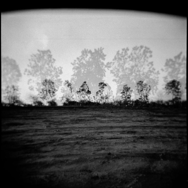 Fomapan_400_9_Holga_by_Victor_Bezrukov-10.JPG