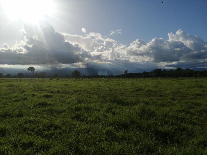 atardecer en granja don guillermo.jpg