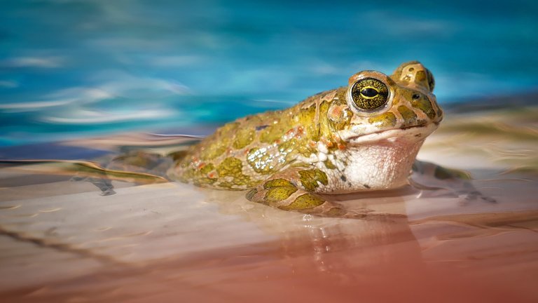 waters3038803_1280.jpg