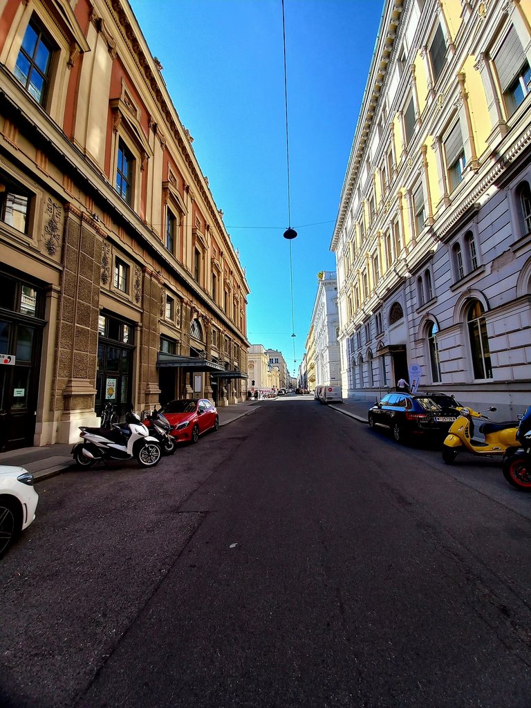 20240923_153119.jpg