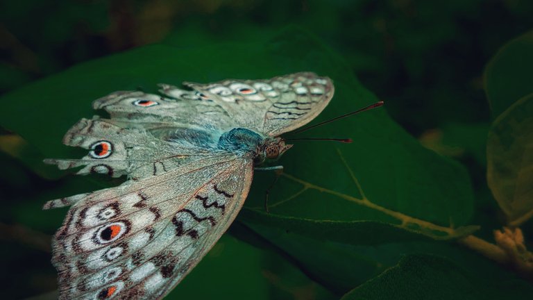 IMG_20220405_112954 (1)-01.jpeg