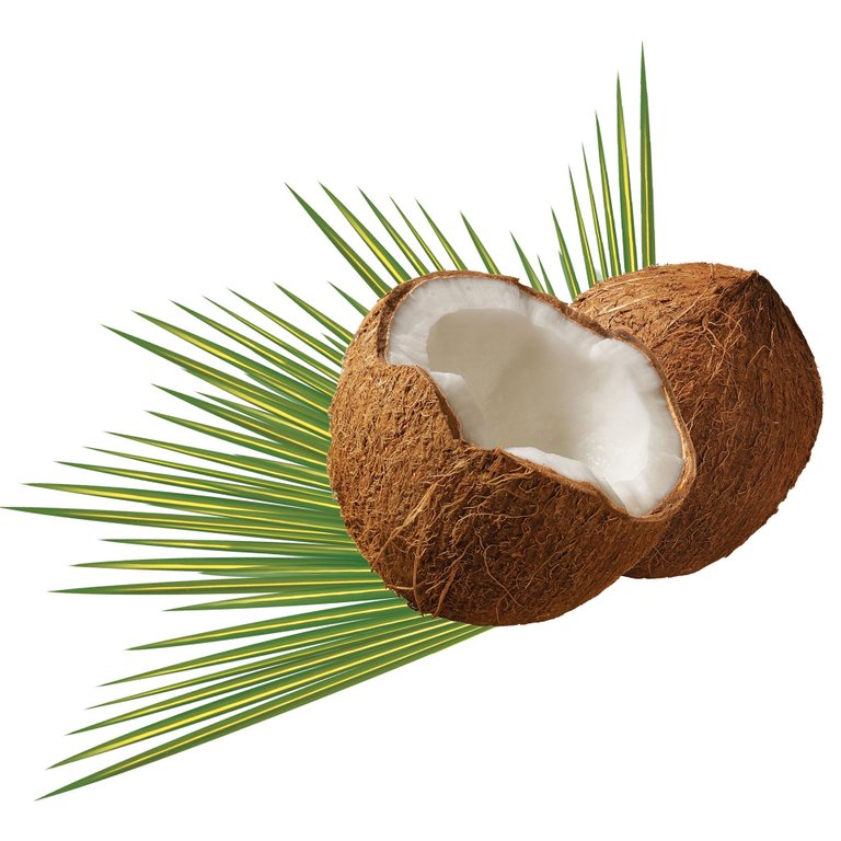 coconut-g6747d6ed1_1920.jpg