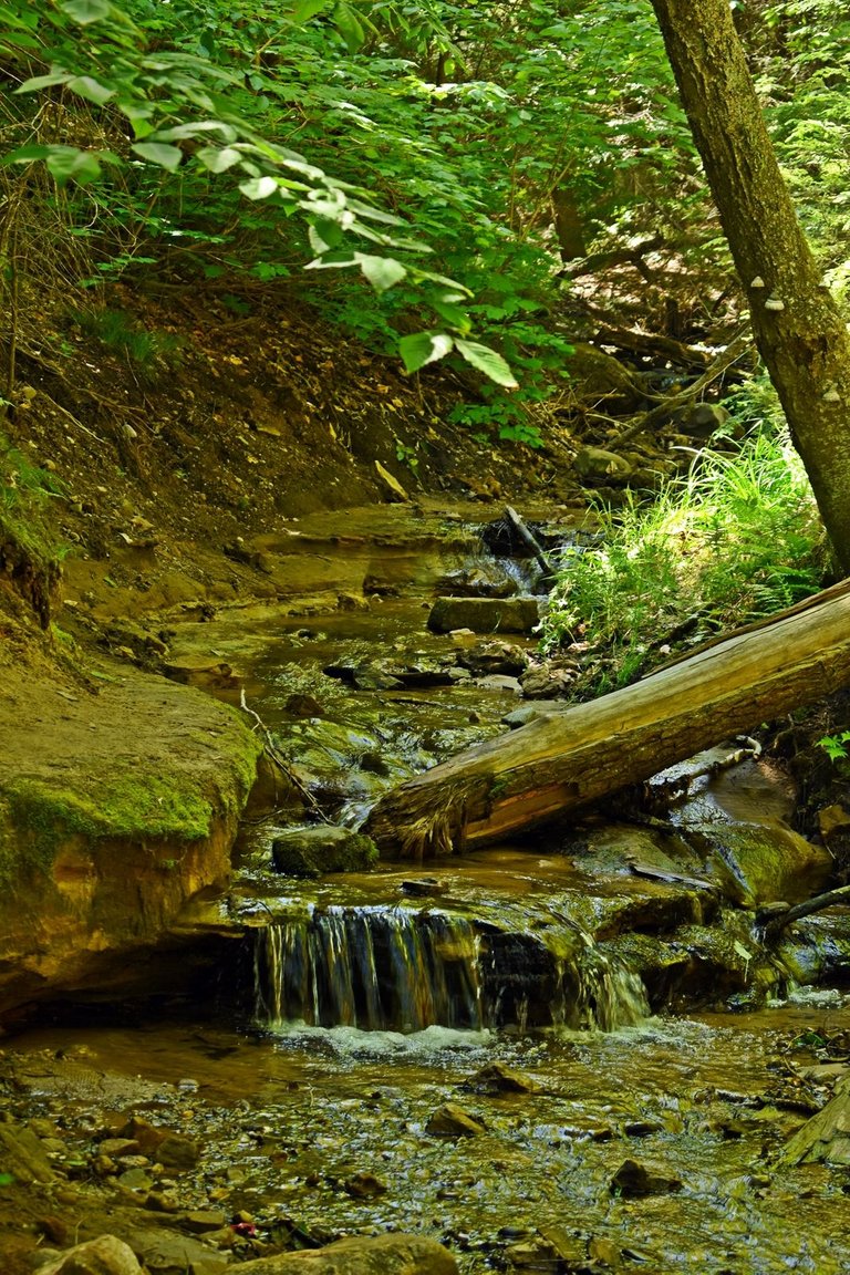 DSC_5639_1600.JPG