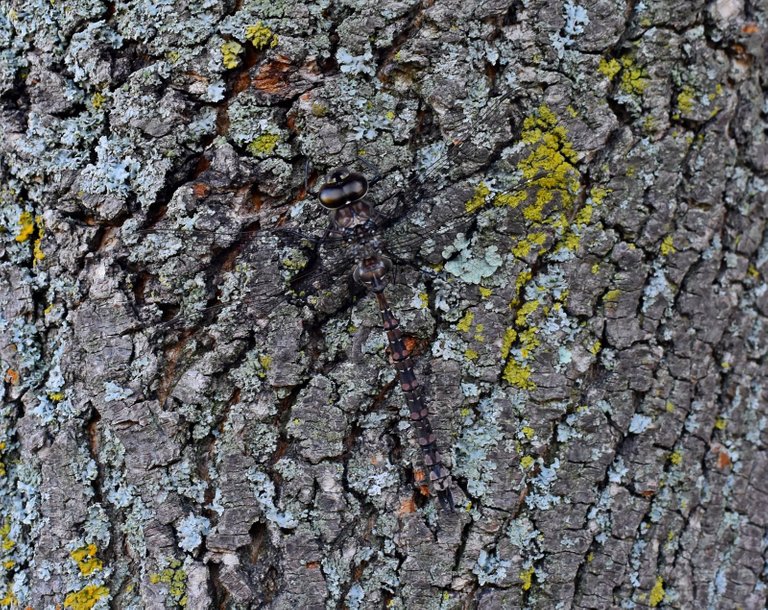 DSC_5560_1600.JPG
