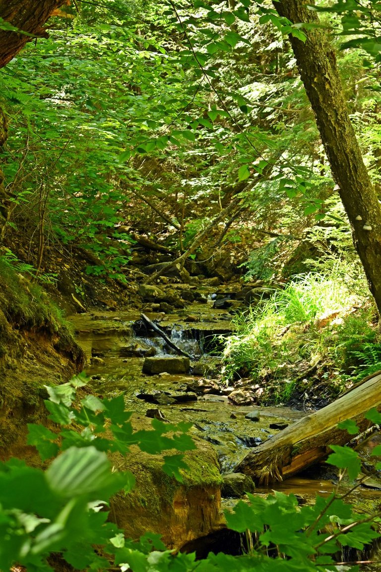 DSC_5652_1600.JPG