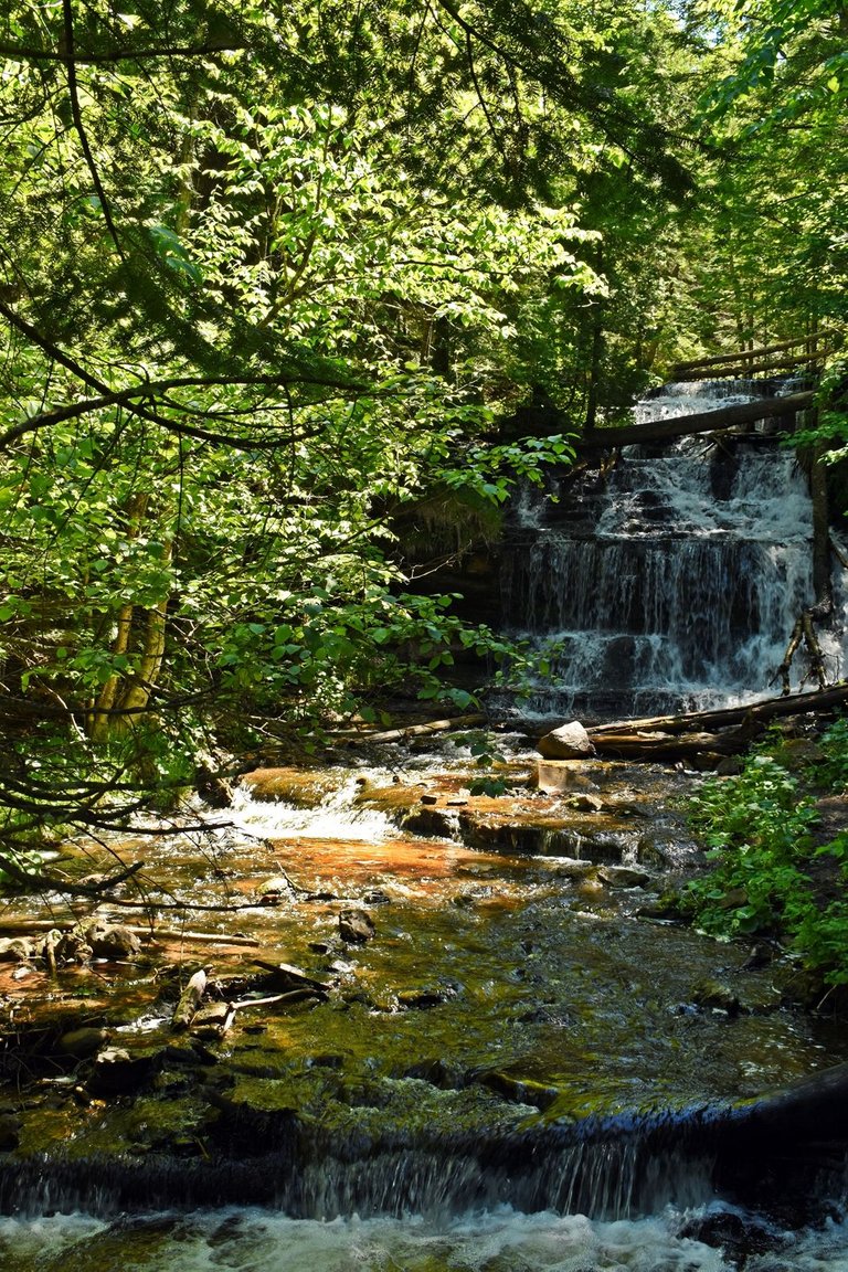 DSC_5643_1600.JPG