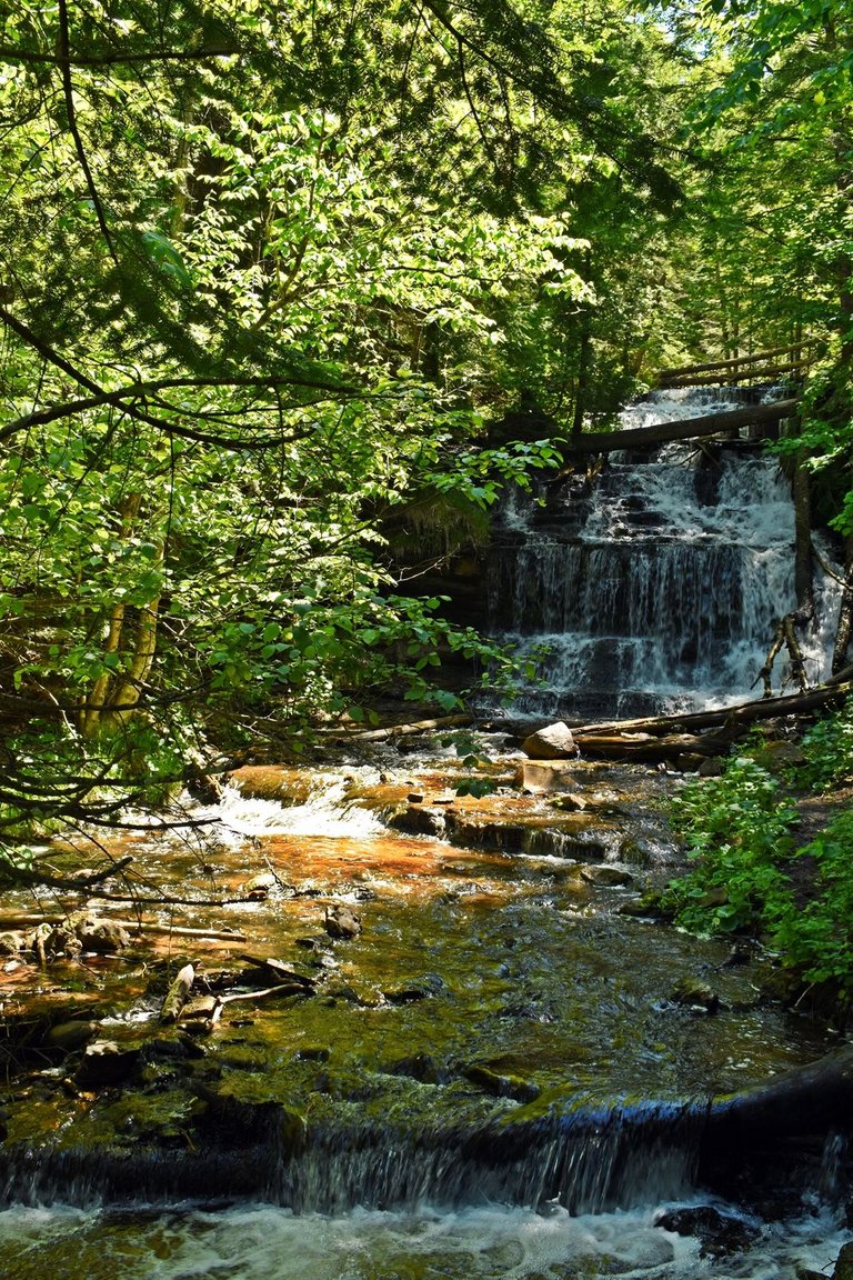 DSC_5644_1600.JPG