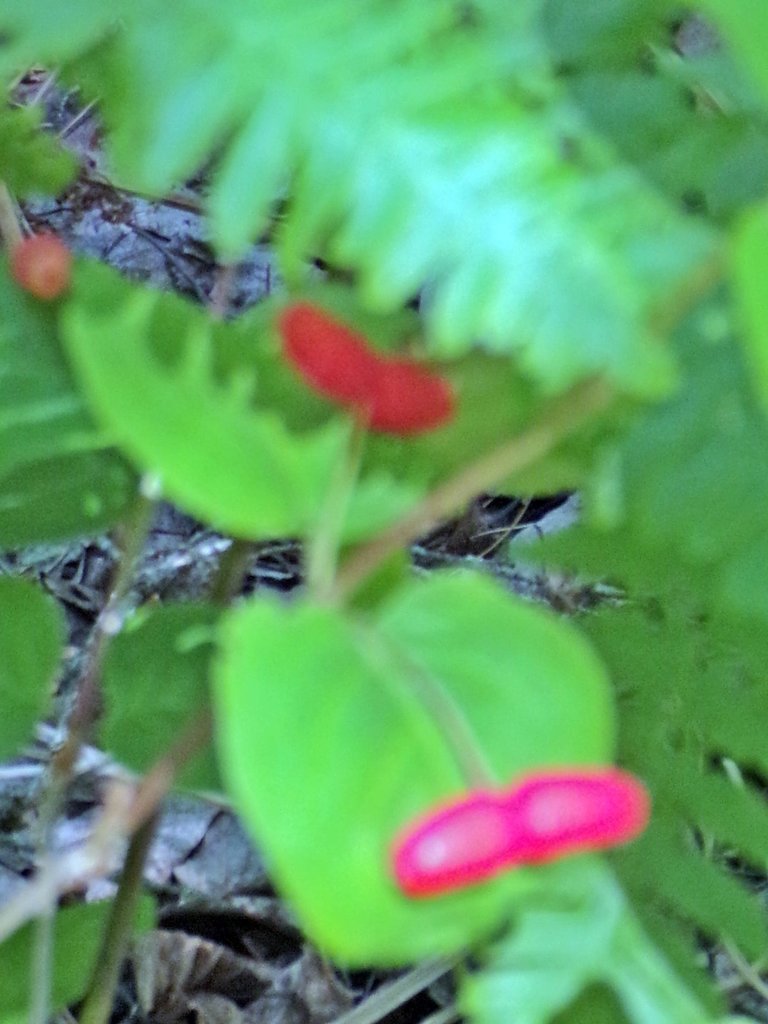 100_0025.JPG