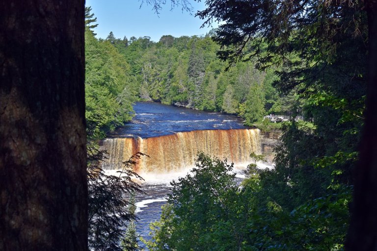 DSC_5732_1600.JPG