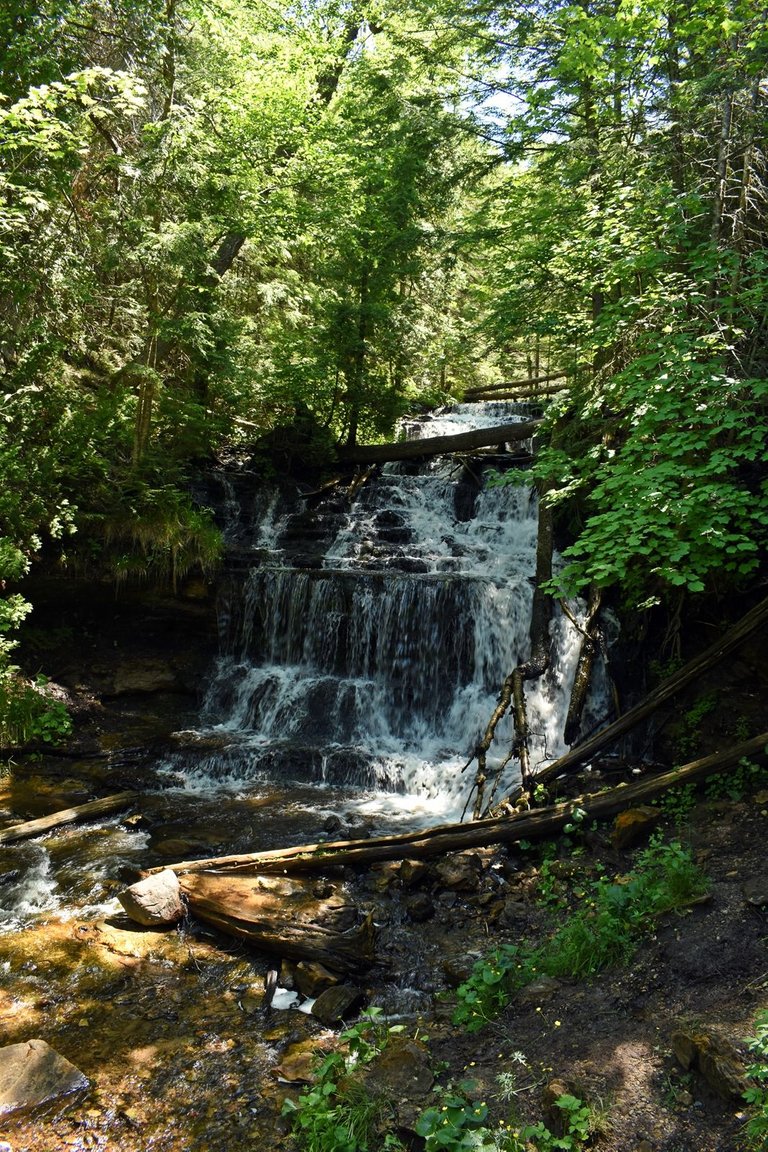 DSC_5648_1600.JPG