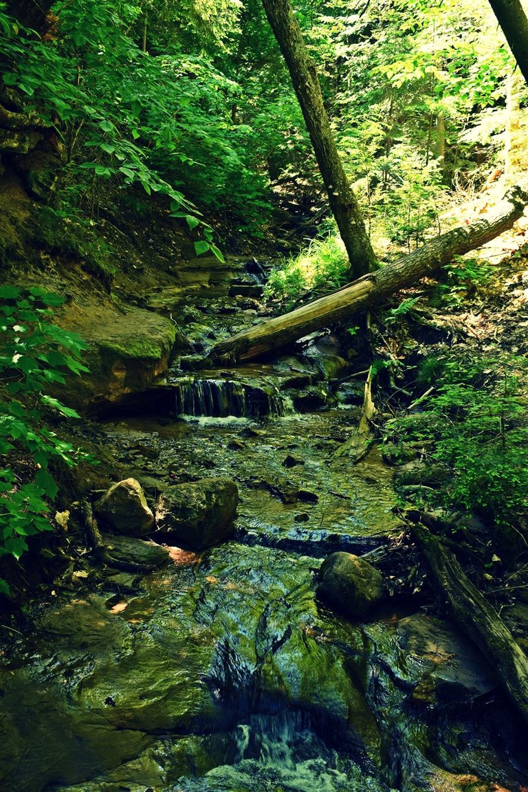 DSC_5640_1600.JPG