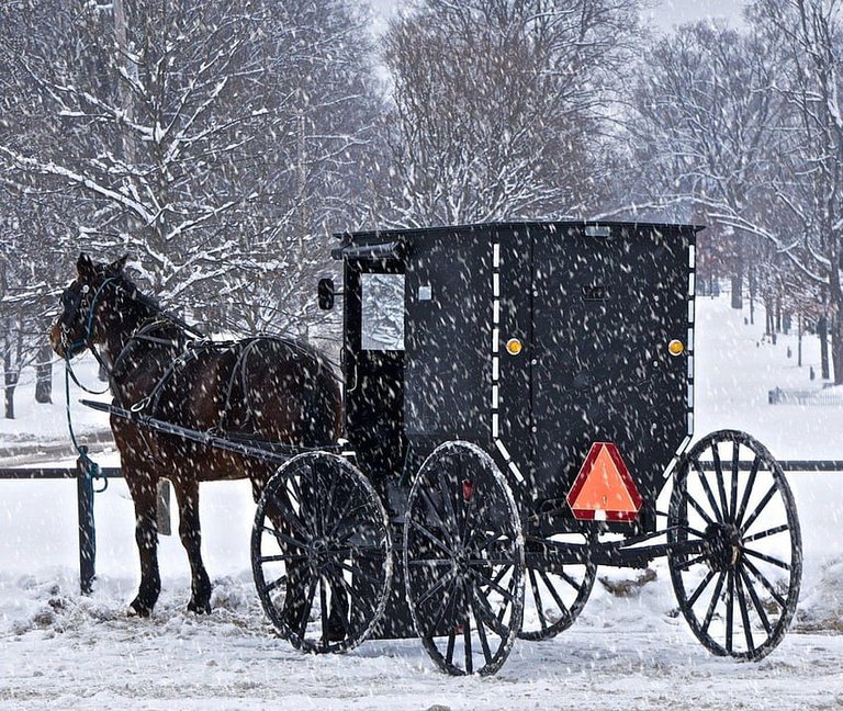 desktop-wallpaper-winter-winter-snowfall-snow-horse-black-buggy-amish-scene-the-amish.jpg