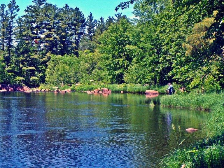 100_0055__1600.JPG