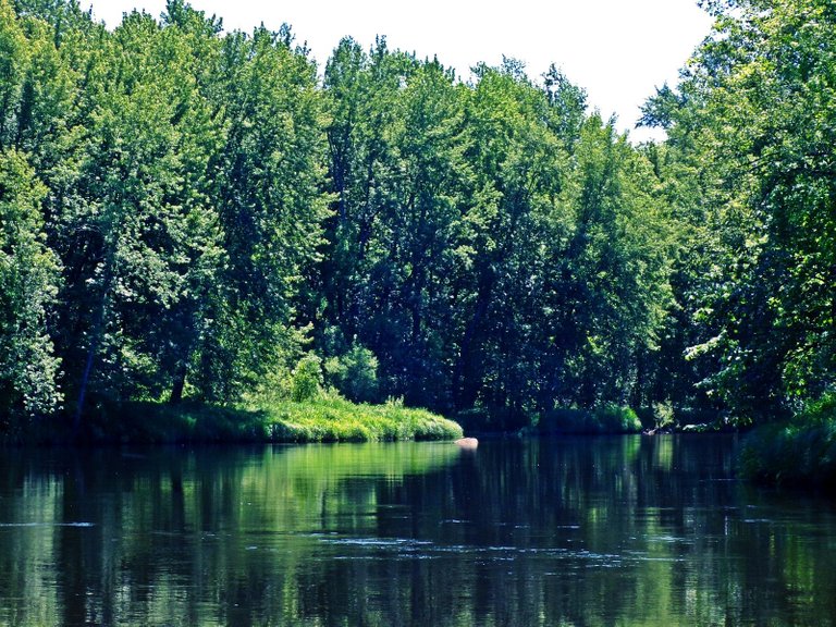 100_0035.JPG