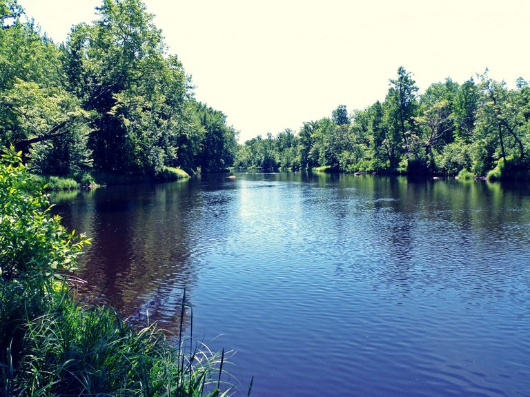 100_0054_1600.JPG
