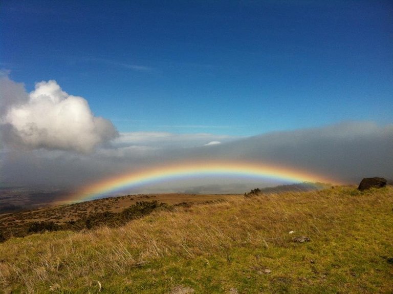 above the rainbow.jpg