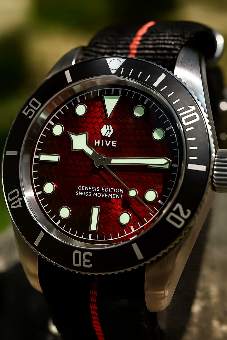 Would you buy this beautiful Hive watch?