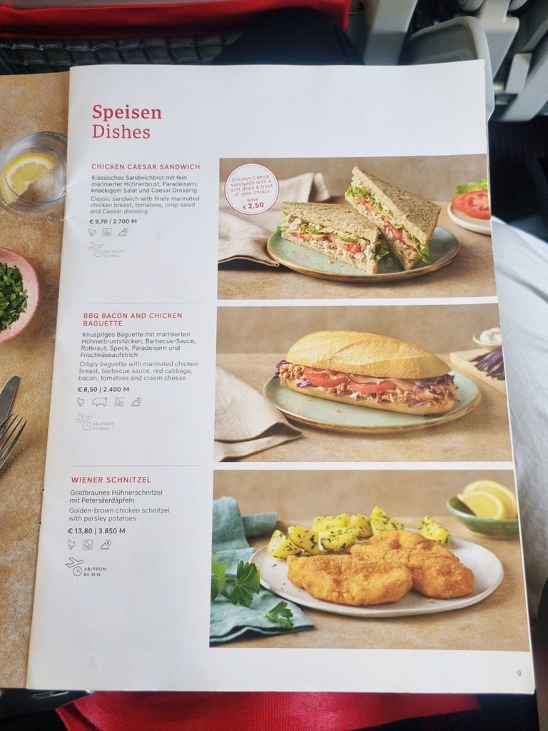 Pre-ordering food in the Economy class on my Austrian (Lufthansa) flight failed last time I tried it 🙈