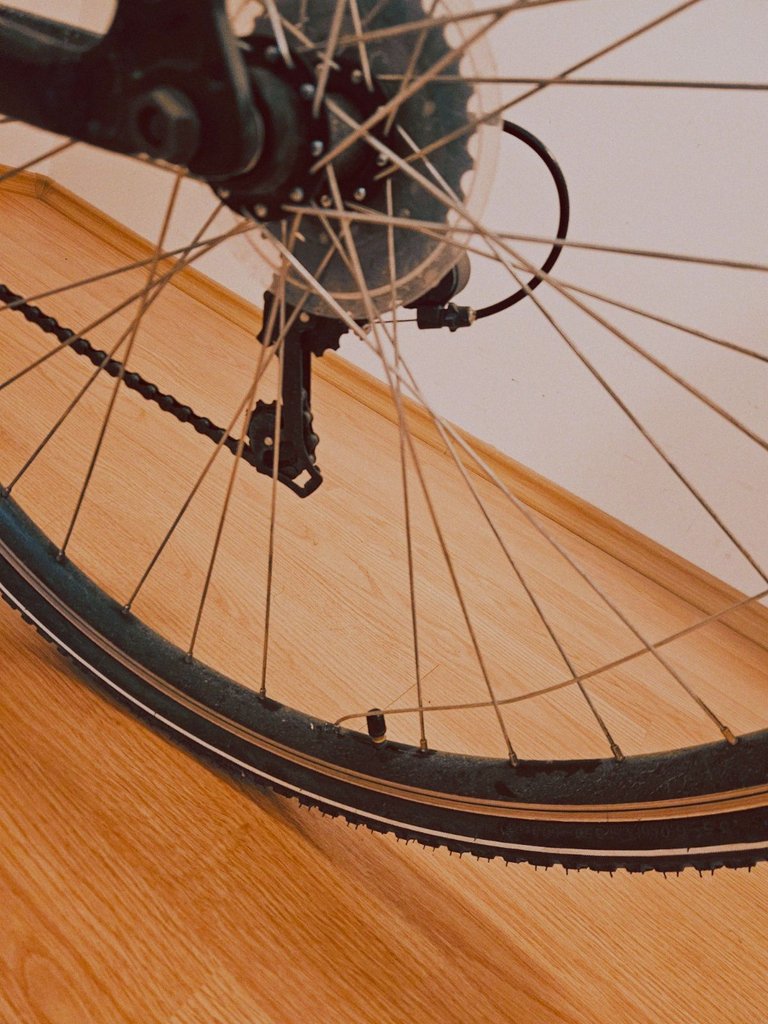 20250827_170526-1.jpg