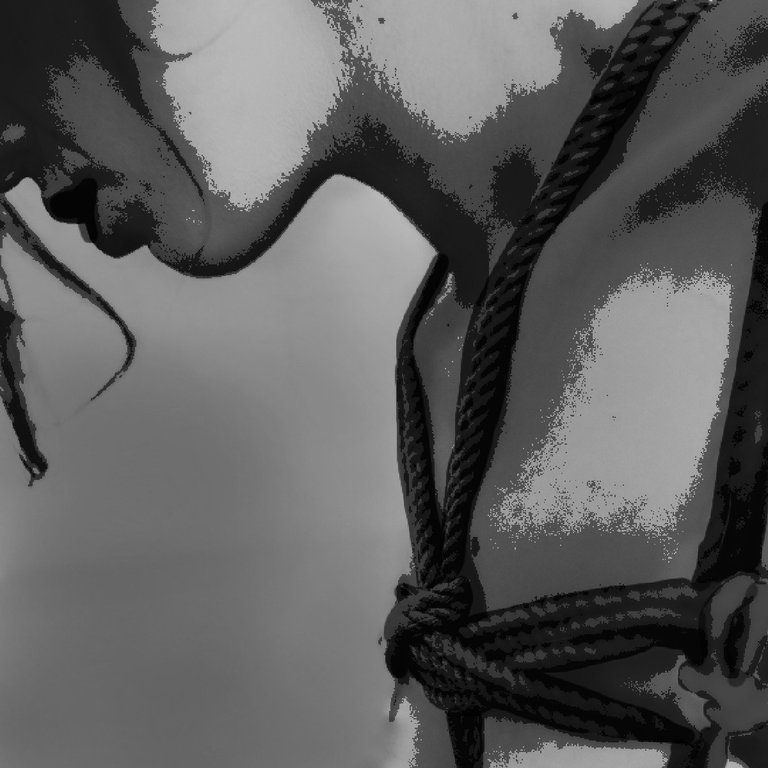 Nifty Friday: Shibari Performance NFT 🔥 by @vincearduaine