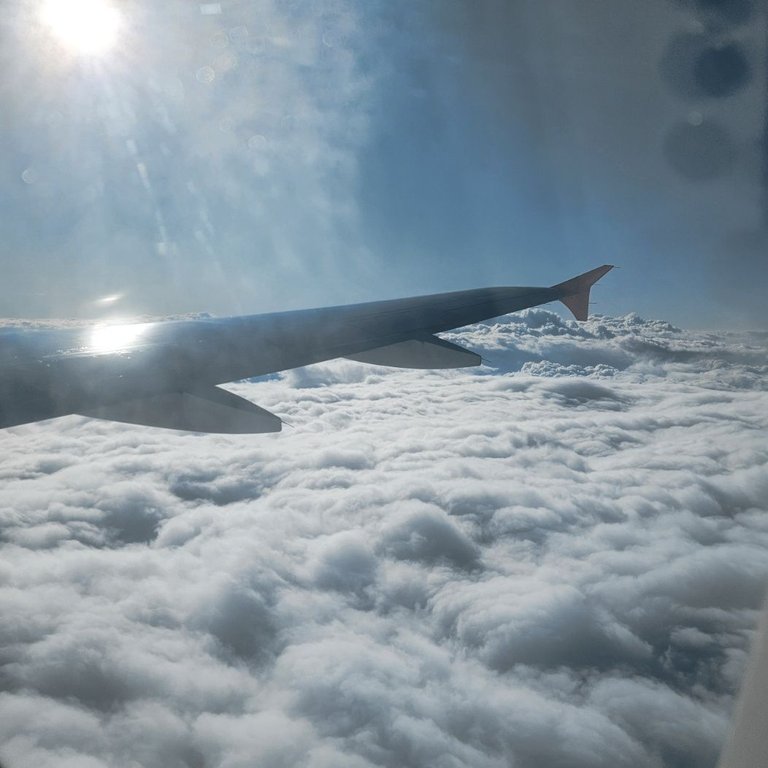 20250725_193550-3.jpg