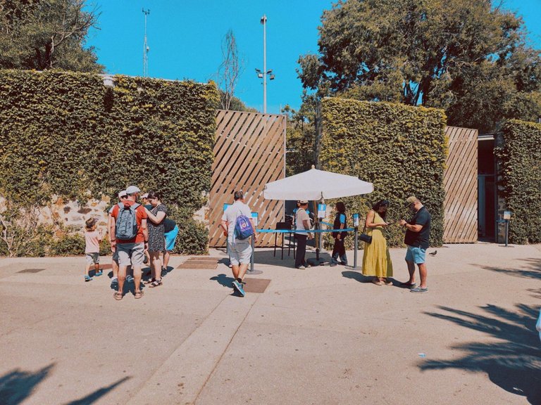 20250727_114554-1.jpg
