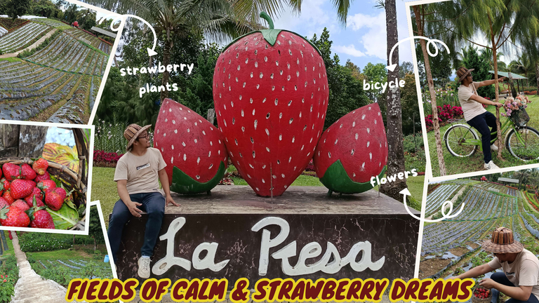 lapresa.png