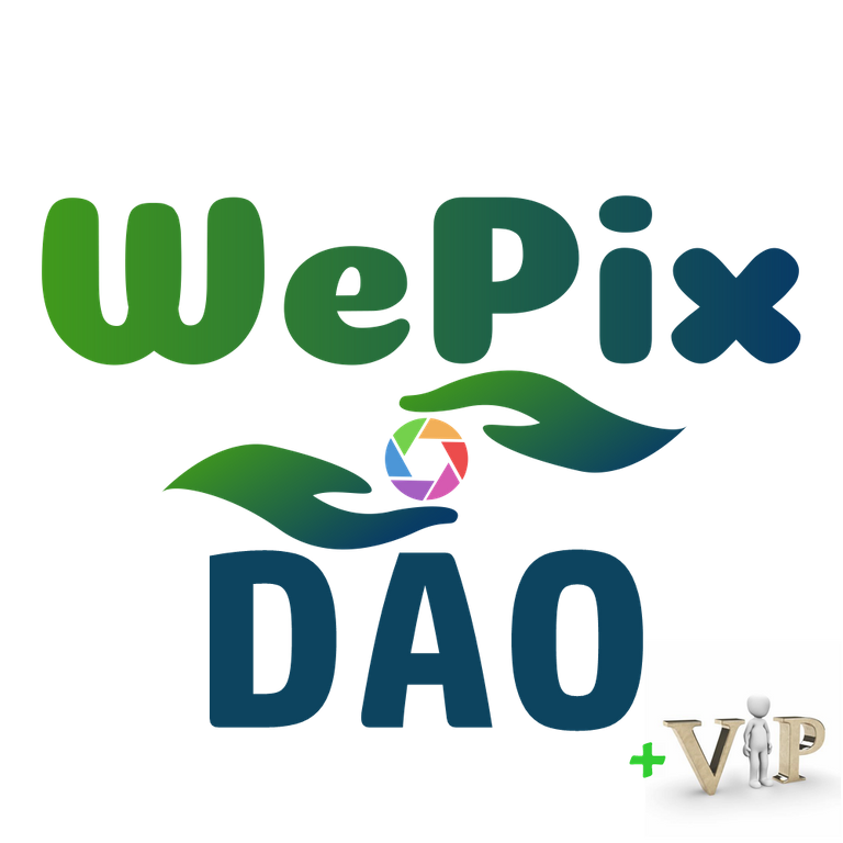 WEPIXDAOlogoVIP.png