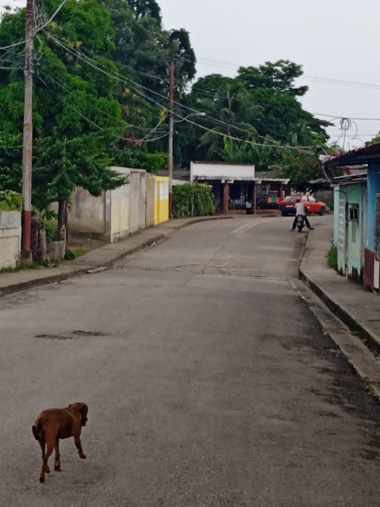 LOS ARROYOS (4).jpeg