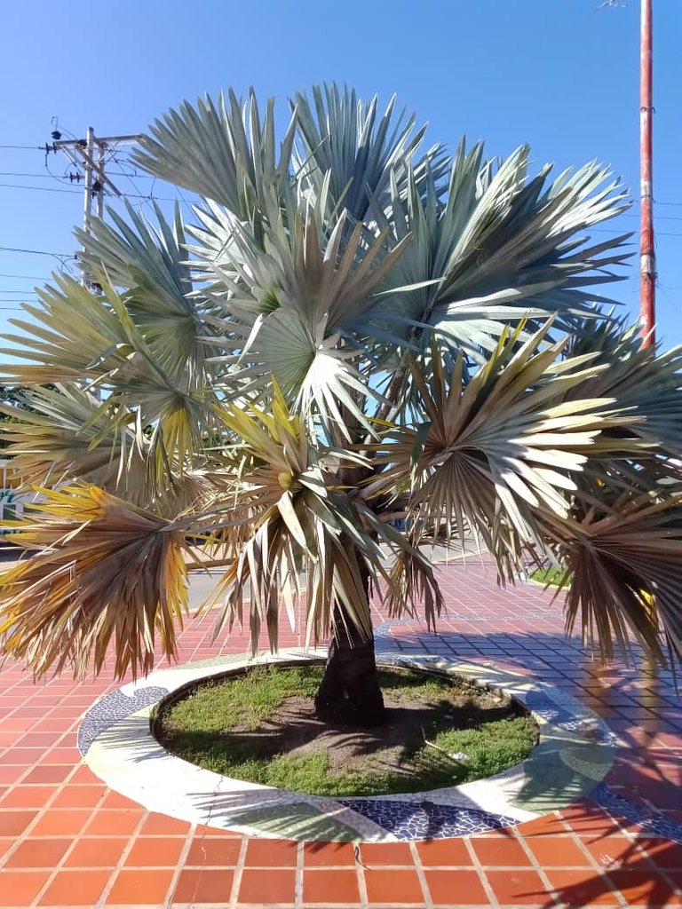 Playa San Luis (36).jpeg
