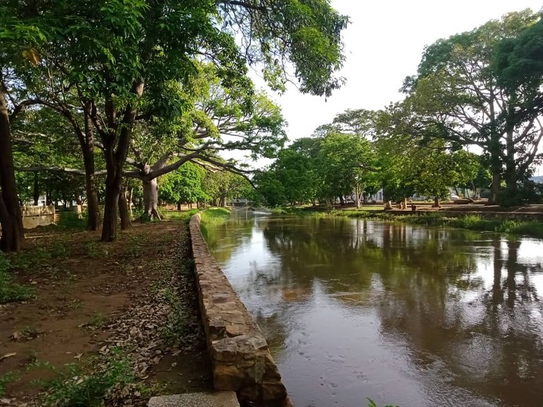 Río Manzanares (3).jpeg