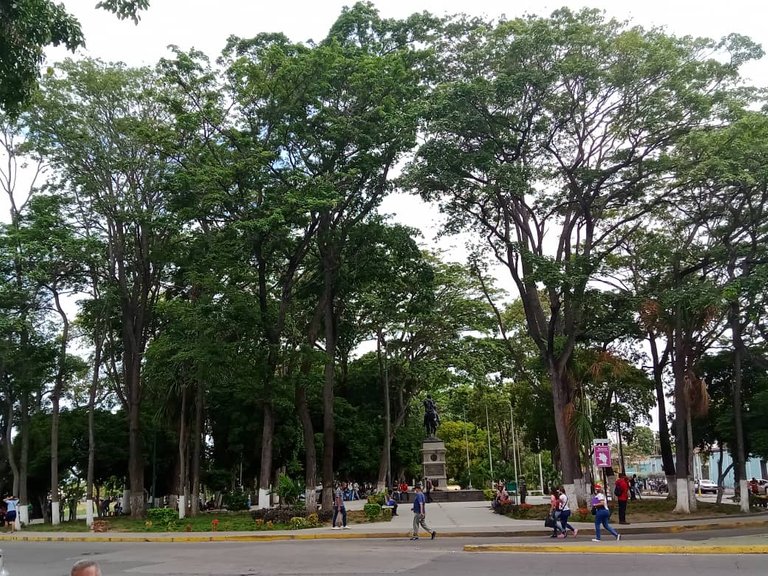 plaza miranda y parque ayacucho (4).jpeg