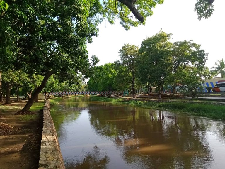 Río Manzanares (17).jpeg