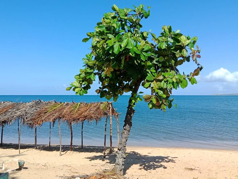 Playa San Luis (3).jpeg