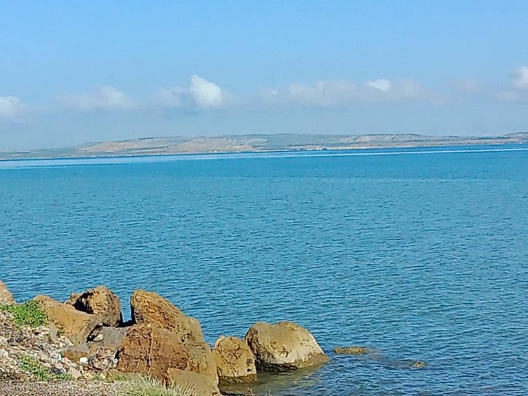 cinta costera (10).jpeg