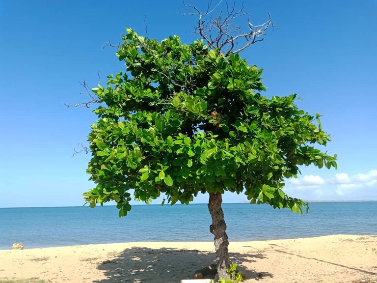 Playa San Luis (37).jpeg