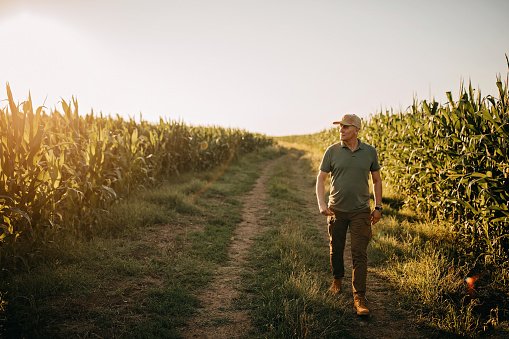 https://unsplash.com/s/photos/farmer