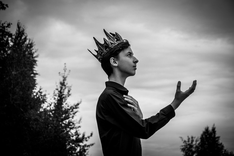 prince-8191531_1280.jpg