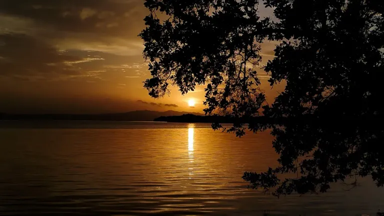 NTy4GV6ooFRkjTArCZGo2LaRDpW7KuZKwNL9MVFgjpu6EG38Zs5Gh1q9FibacyxaLAoFe5qUDVe2bektpLawJNZfhM9ypadxJsQ1dG9rVqSQR1q8kySKA5uktXWSDuEn3dGWWLjgkYHTKFigmdZgxDFq8NFcKbrPyXqzYkx7.webp