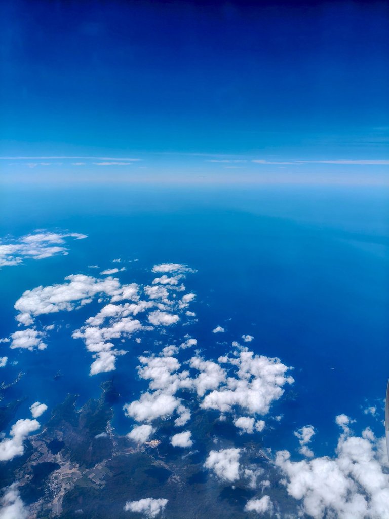 1000138665.jpg