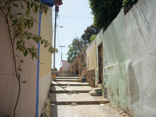 1000146080.jpg