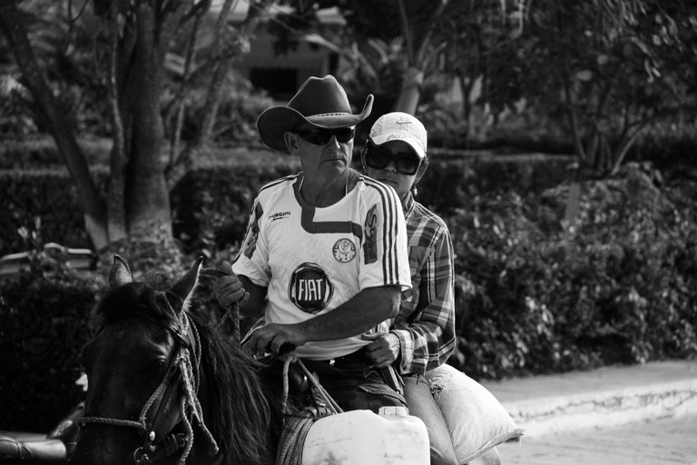 img_1355_20copia.jpg