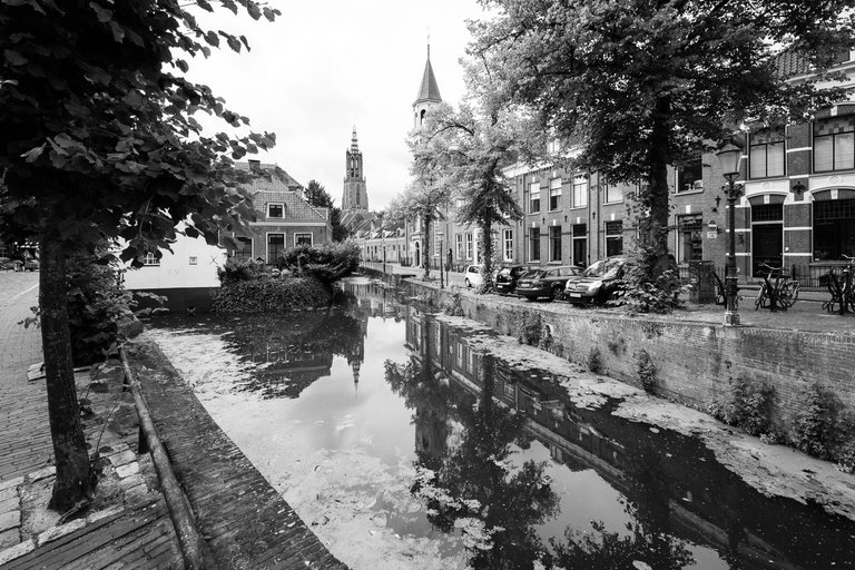 laowa15mm_mono_07670.jpg