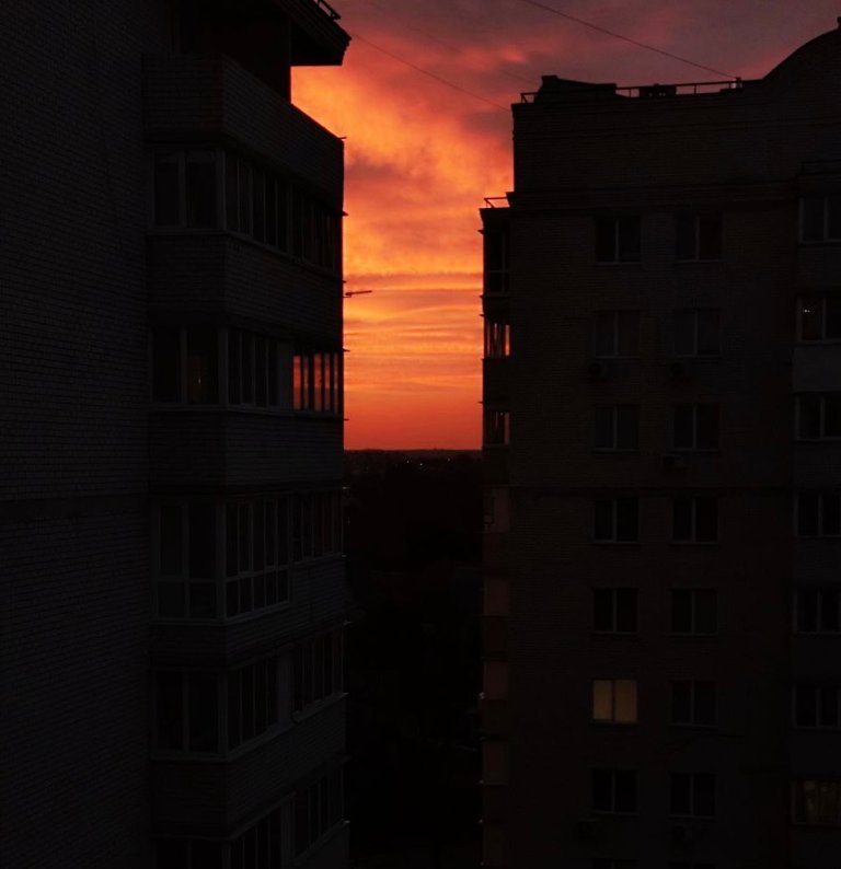 IMG_8015.jpeg